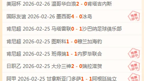 “2025年足协杯八强战精华瞬间盘点”